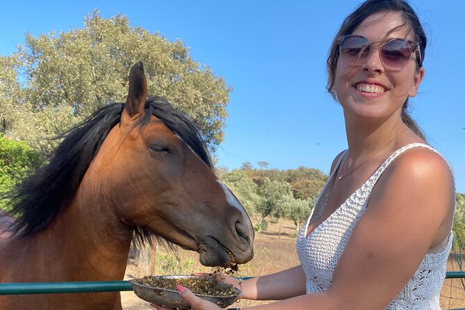 Alpaca Farm MamaAdama Meet & Feed - Price and value: is $27.56 a fair deal?