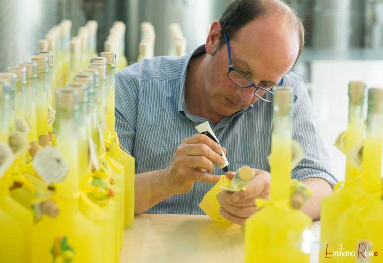 Amalfi: Vertical Lemon Farm Tour, Tastings, and Rural Museum - A 6-generation family farm story: the good, the hard, and the real work
