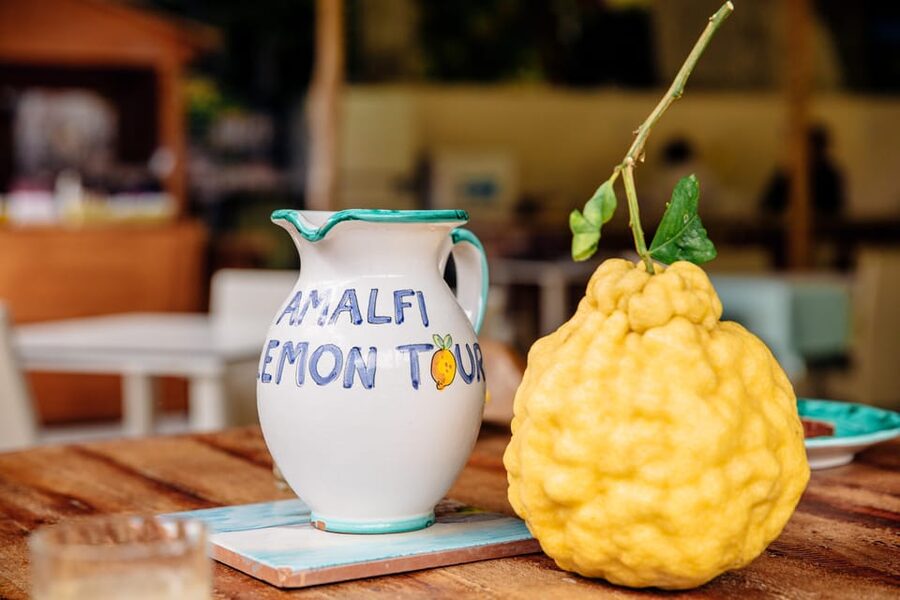 Amalfi: Vertical Lemon Farm Tour, Tastings, and Rural Museum - Who this tour is perfect for (and who should skip it)