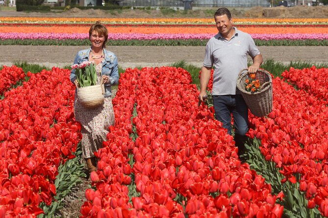 Amsterdam: Day trip to Tulip Farm, Keukenhof + Windmill Cruise - Why this Amsterdam-to-Keukenhof day trip makes sense