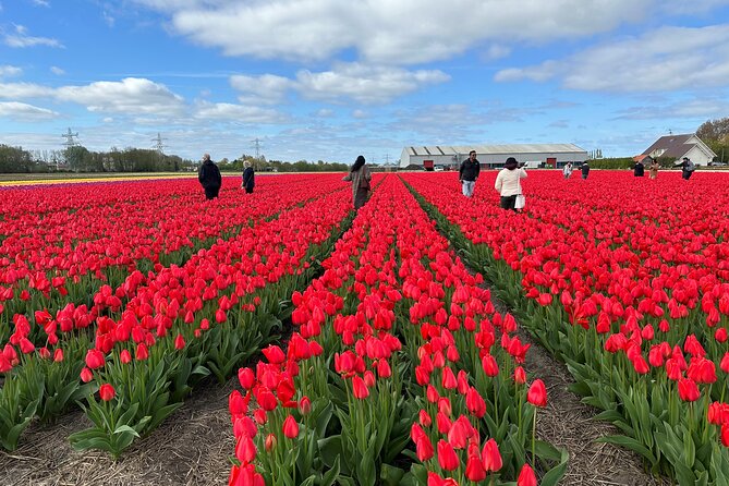 Amsterdam: Day trip to Tulip Farm, Keukenhof + Windmill Cruise - Getting started: This is Holland and the quick ferry shortcut