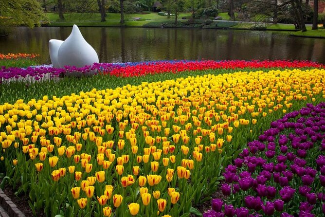 Amsterdam: Day trip to Tulip Farm, Keukenhof + Windmill Cruise - Price and logistics: what $102.23 covers, and the risk points