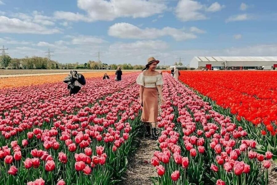 Amsterdam: Keukenhof, Tulip Farm Full-Day Tour with Cruise - Key highlights to know before you go