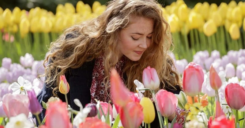 Amsterdam: Keukenhof, Tulip Farm Full-Day Tour with Cruise - A tulip day trip that balances gardens, farming, and windmills