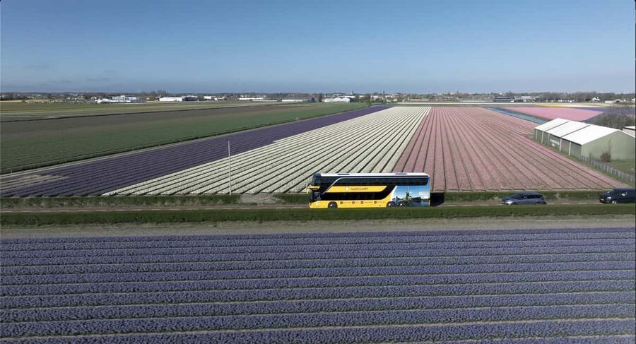 Amsterdam: Keukenhof, Tulip Farm Full-Day Tour with Cruise - The tulip farm walk with Daan and the apple pie stop