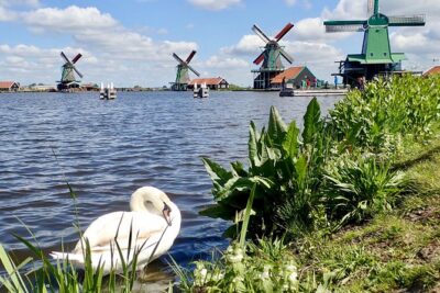 Amsterdam private tour to windmills, cheese farm and villages - Zaanse Schans: a working windmill site with factory-era purpose
