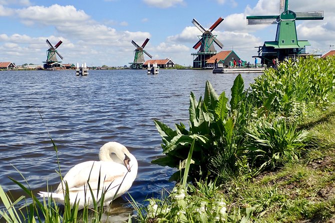 Amsterdam private tour to windmills, cheese farm and villages - Zaanse Schans: a working windmill site with factory-era purpose