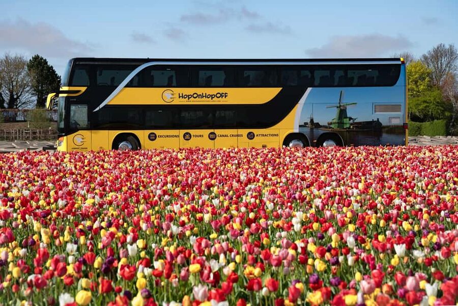 Amsterdam: Tulip Farm Visit, Keukenhof, and Windmill Cruise - Who should book (and who might prefer something else)
