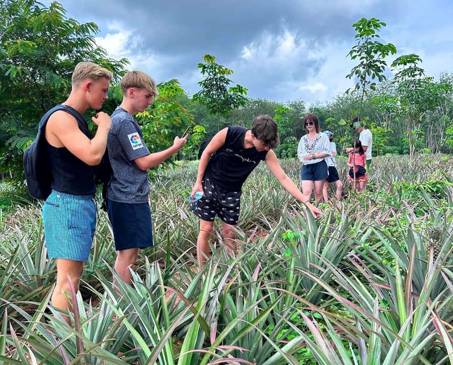 Ao Nang: Crystal Pool Kayaking, ATV, and Pineapple Farm Tour - Crystal Pool Fish Spa and a Real Swim Break