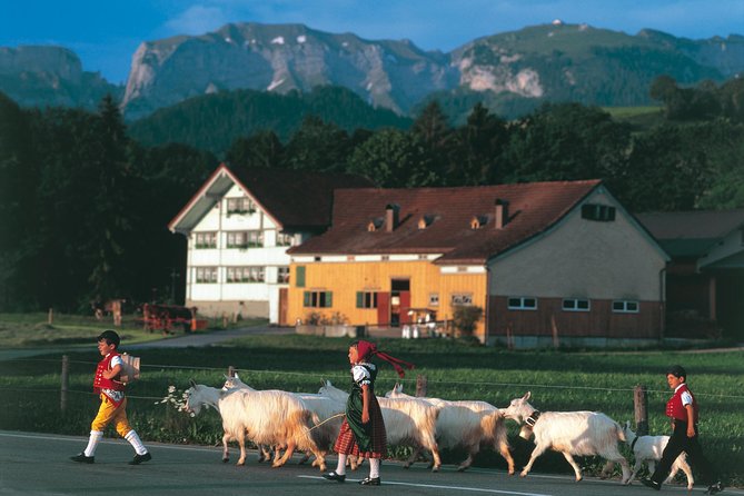 Appenzell Alps Day Trip from Zurich – Farm Life & Cheese Tasting - Zurich to Appenzell: The Route That Sets the Mood