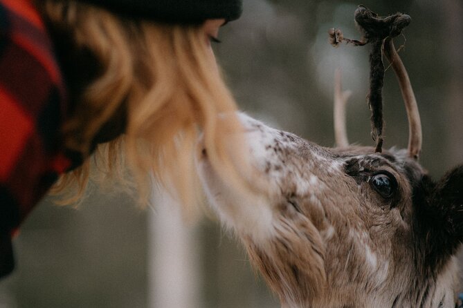 Arctic Reindeer Farm Experience with Snowshoeing in the Wild - The traditional village stop: meet the farm world first