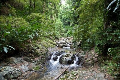 Argyle Waterfall with Adventure Farm - The forest setting: why this walk feels more meaningful than a roadside stop