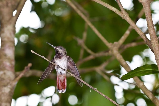 Argyle Waterfall with Adventure Farm - Price and value: $120 for two paid nature experiences