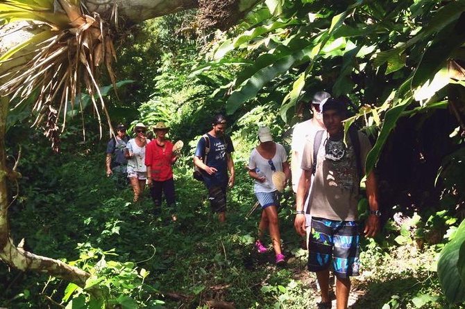 Argyle Waterfall with Adventure Farm - Who this tour is best for (and who should skip it)