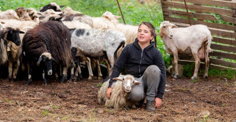 Arzana: Day with a shepherd w/ lunch in a farm - Price and value: where the worth comes from