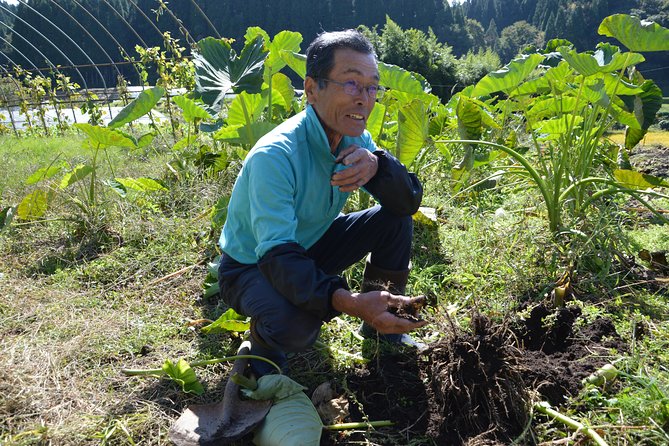 Aso Caldera and Farm Experience Tour - Meeting the locals: why the people part matters