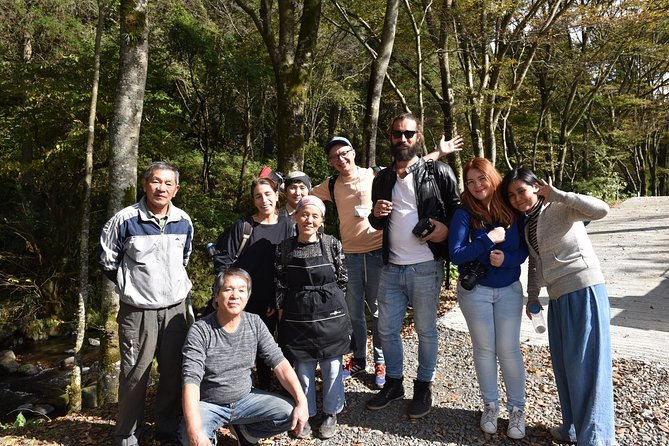 Aso Caldera and Farm Experience Tour - Daikanbo Overlook: the caldera view that sets the mood