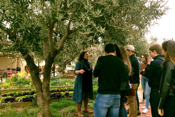 ATHENS OLIVE ESTATE - Olive Oil Workshop with Farm-to-Fork Lunch - The seaside lunch: traditional, three courses, and built for appetite
