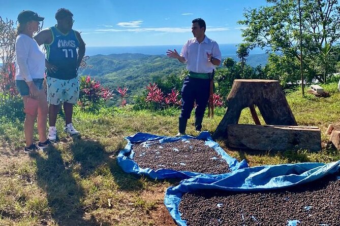 ATV Waterfall & Organic Coffee Farm with Lunch - Should you book the ATV Waterfall and Organic Coffee Farm tour?