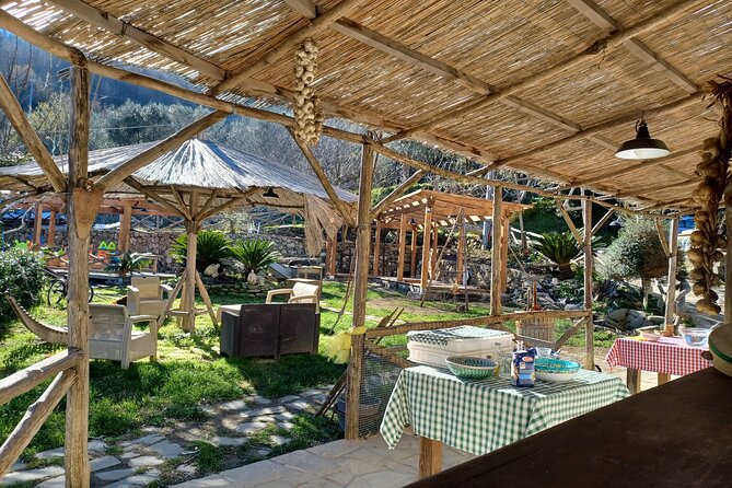 Authentic Farm Tour with Pizza, Cheese, Wine & Limoncello Tasting - A Family-Run Farm Above Sorrento: What to Expect in 4 Hours