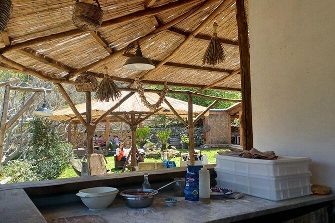 Authentic Farm Tour with Pizza, Cheese, Wine & Limoncello Tasting - Pizza School with the Family: Dough, Shaping, and Instant Pride