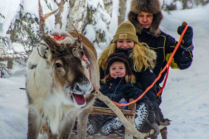 Authentic Reindeer Farm Experience in Rovaniemi - Small-group logistics that actually feel comfortable
