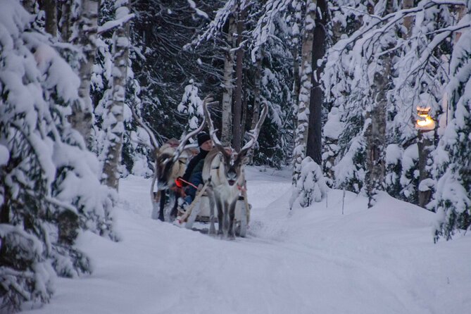Authentic Reindeer Farm Experience in Rovaniemi - The working-farm factor: what to consider before you book