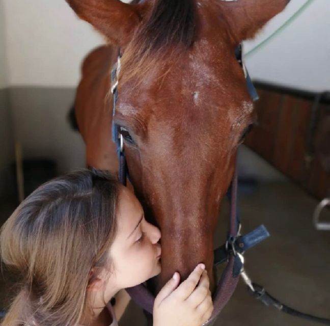 Aveiro: Horseback Riding at a Pedagogical Farm - Should You Book GQhorses Horseback Riding Near Aveiro?