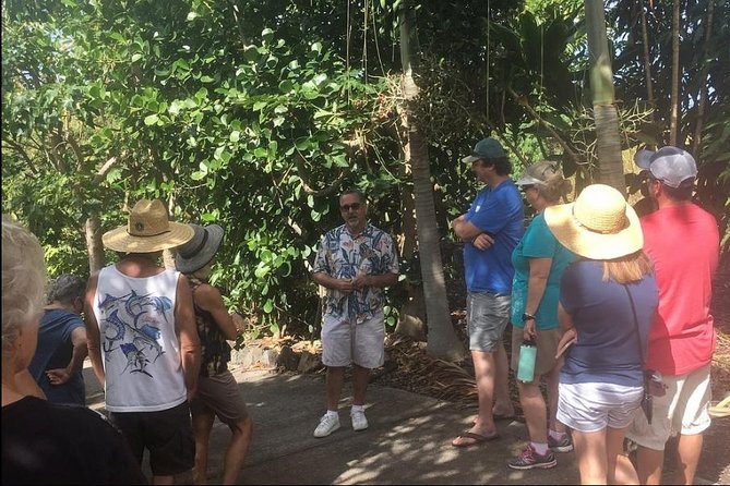 Award Winning Farm Tour: Coffee, Chocolate and Unique Gifts - Three Hours on a Working Kona Farm That Actually Feels Worth It