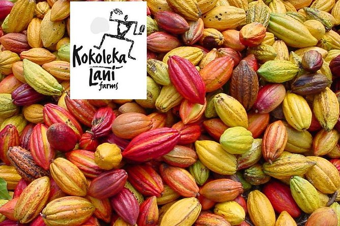 Award Winning Farm Tour: Coffee, Chocolate and Unique Gifts - Price and Value: Why $50 Can Feel Like a Bargain Here