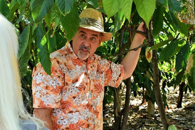 Award Winning Farm Tour: Coffee, Chocolate and Unique Gifts - Start Point Views Above Holualoa (And Why That Matters)
