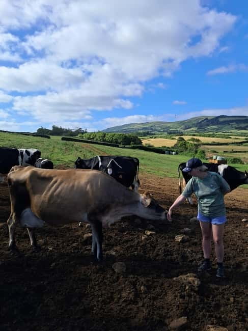 Azores: Dairy Farm Tour - Where this Azores dairy farm tour really shines