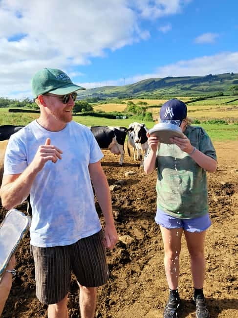 Azores: Dairy Farm Tour - Meeting the herd: how farmers care for cows day to day