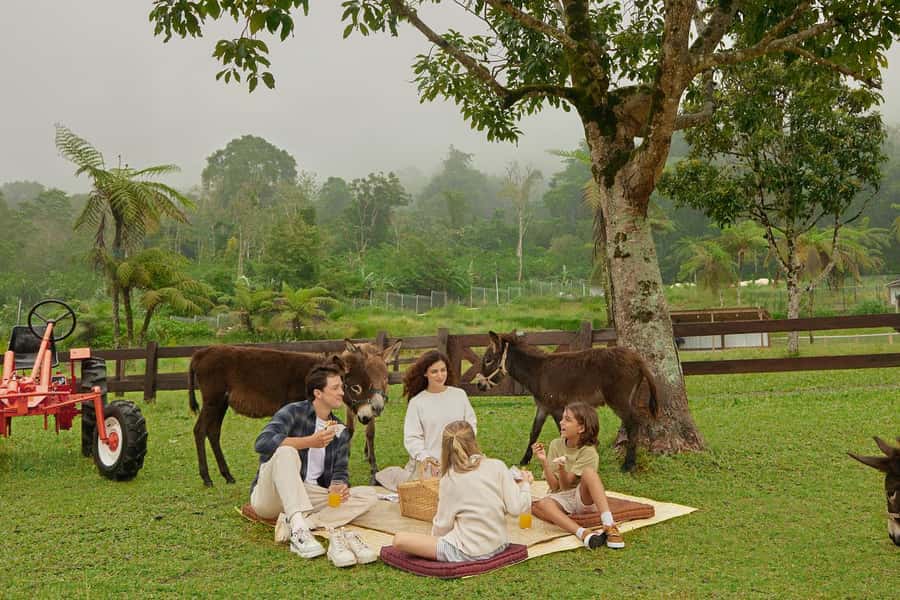 Bali: Farm House Experience with Entry Ticket & Options - Key things to know before you go