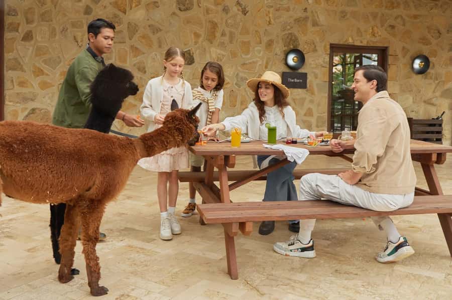 Bali: Farm House Experience with Entry Ticket & Options - Bali Farm House: what you’re really buying for $7