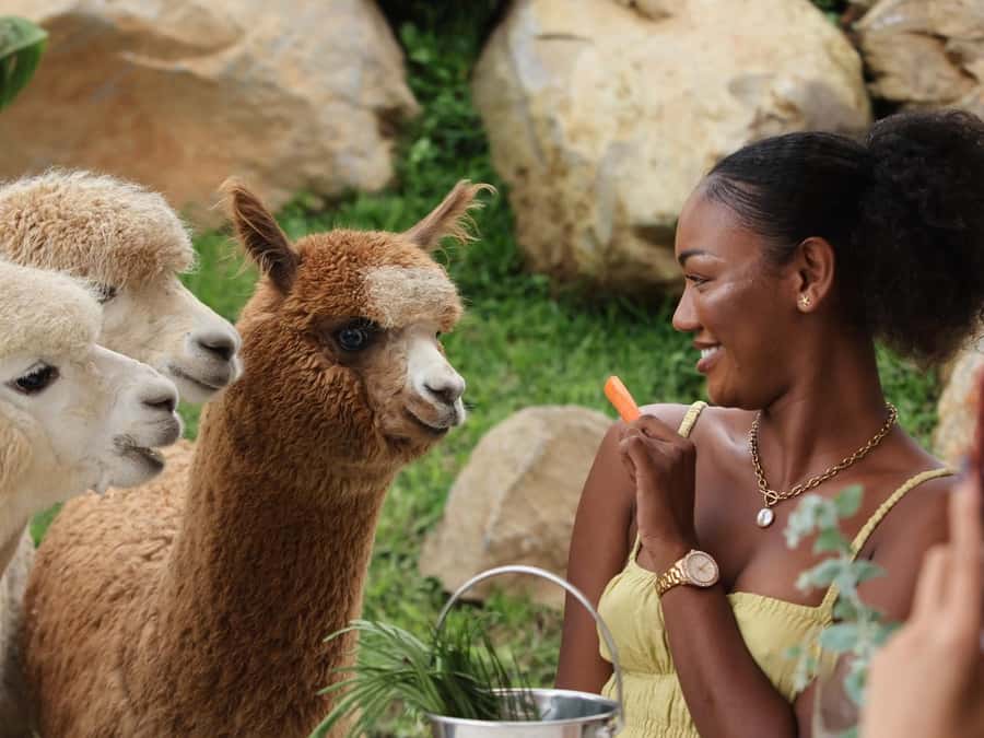 Bali: Farm House Experience with Entry Ticket & Options - Animal encounters up close: alpacas, donkeys, and the keeper facts