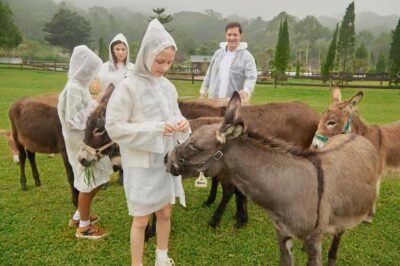 Bali: Farm House Experience with Entry Ticket & Options - Entering the farm: the welcome, the layout, and where to start