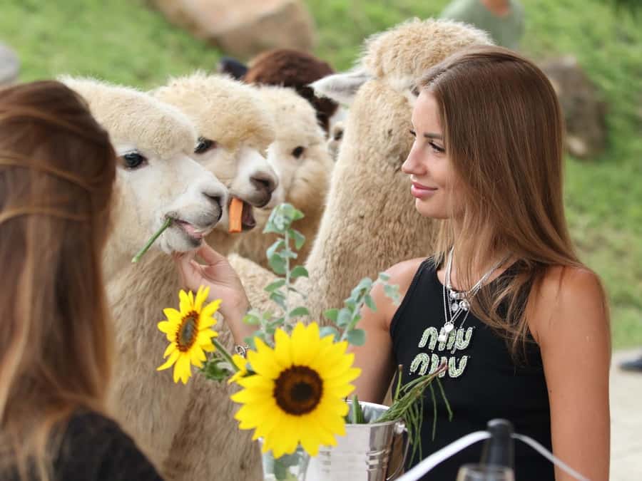 Bali: Farm House Experience with Entry Ticket & Options - Donkey walk vs donkey picnic: which fits your style