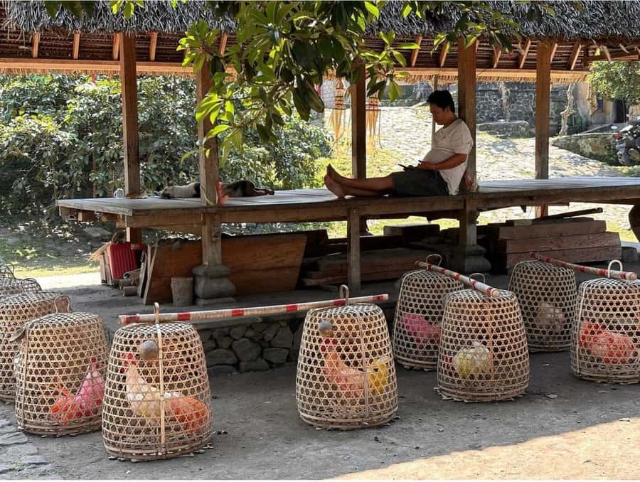 Bali: Traditional Villages, Salt Farm & Tirta Gangga Tour - Quick takes before you go