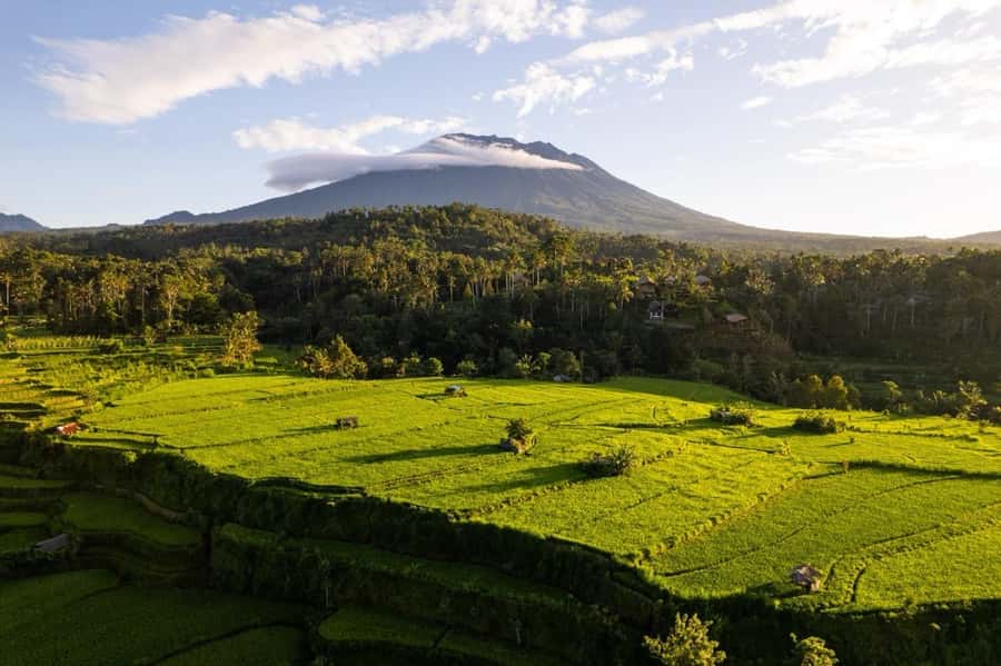 Bali: Traditional Villages, Salt Farm & Tirta Gangga Tour - Tenganan Village: the old customs you can actually see