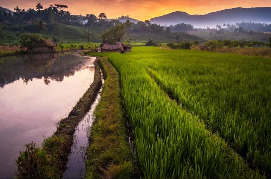Bali: Traditional Villages, Salt Farm & Tirta Gangga Tour - Who this tour fits best (and who should skip it)