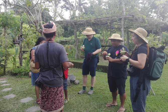 Balinese Cooking Class at Organic Farm - Price and Time: Is $40 Worth It?
