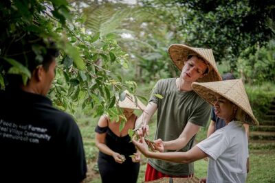 Balinese Farm Cooking Class by Pemulan Bali - The market visit: shopping for flavor in Ubud