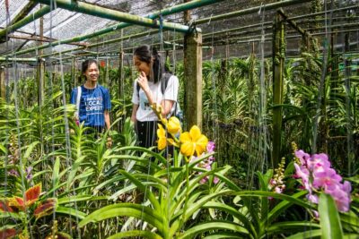 Bangkok Floating Market & Boat Ride to an Orchid Farm - How the Private Ride Works: Pickup, Long-Tail Boat, and Timing