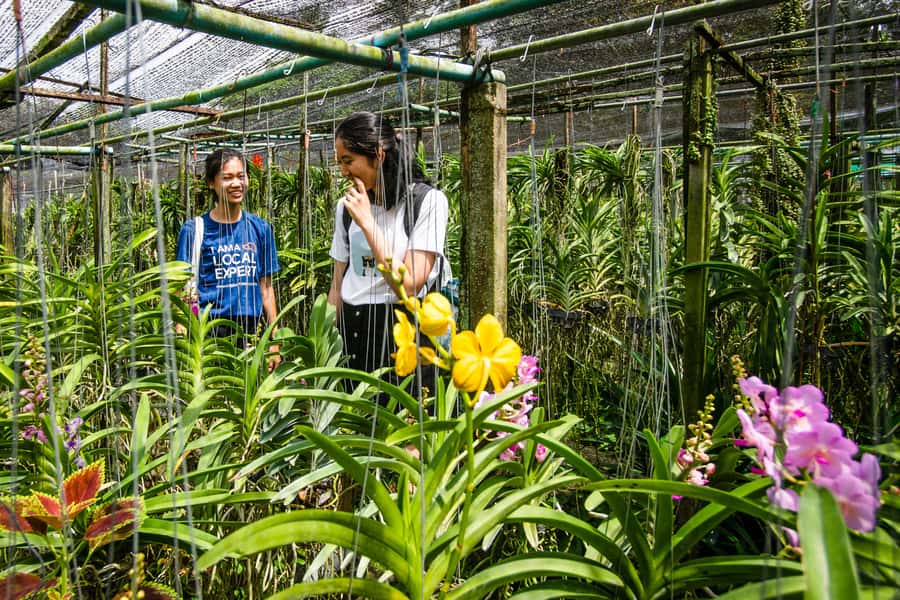 Bangkok Floating Market & Boat Ride to an Orchid Farm - How the Private Ride Works: Pickup, Long-Tail Boat, and Timing