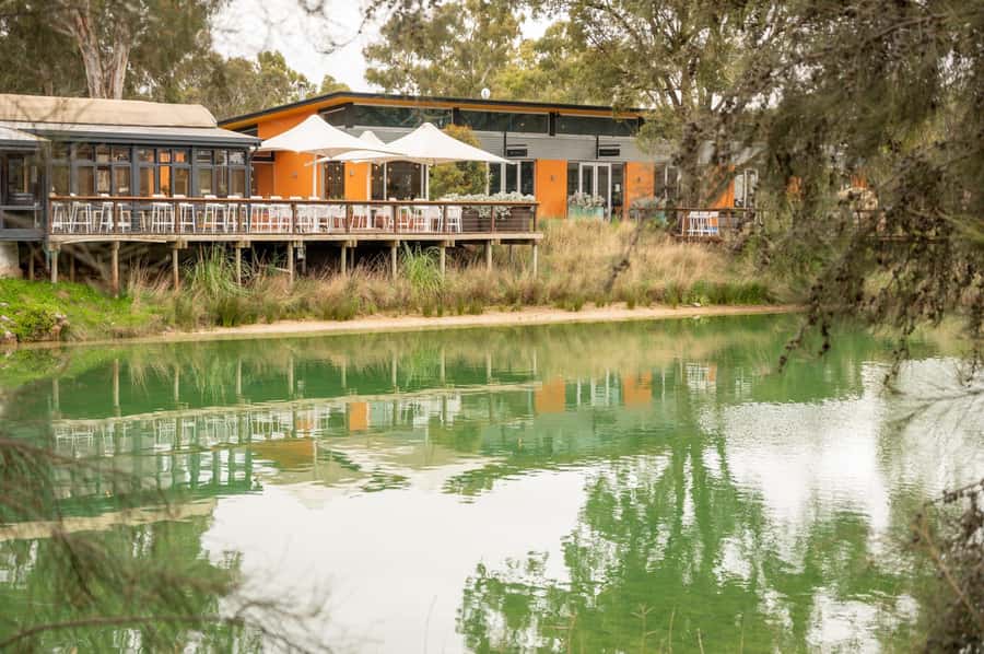 Barossa Long Lunch at Maggie Beer's Farm - After lunch: the self-guided farm walk around the dam