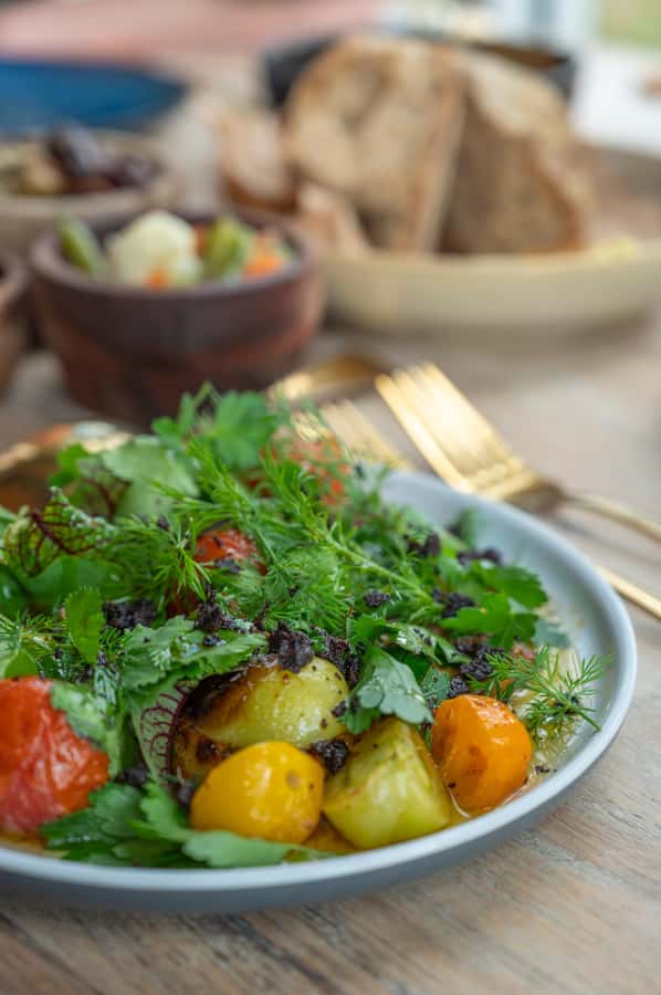 Barossa Long Lunch at Maggie Beer's Farm - Food and service: what stands out from the best moments