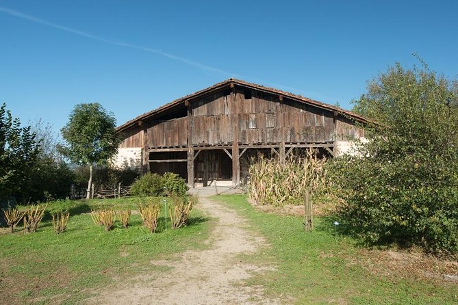 " Basque Farm House & Cider house" tour + meal from San Sebastian - Sidrería Oiharte: orchard, pressing, cellars, then Txotx