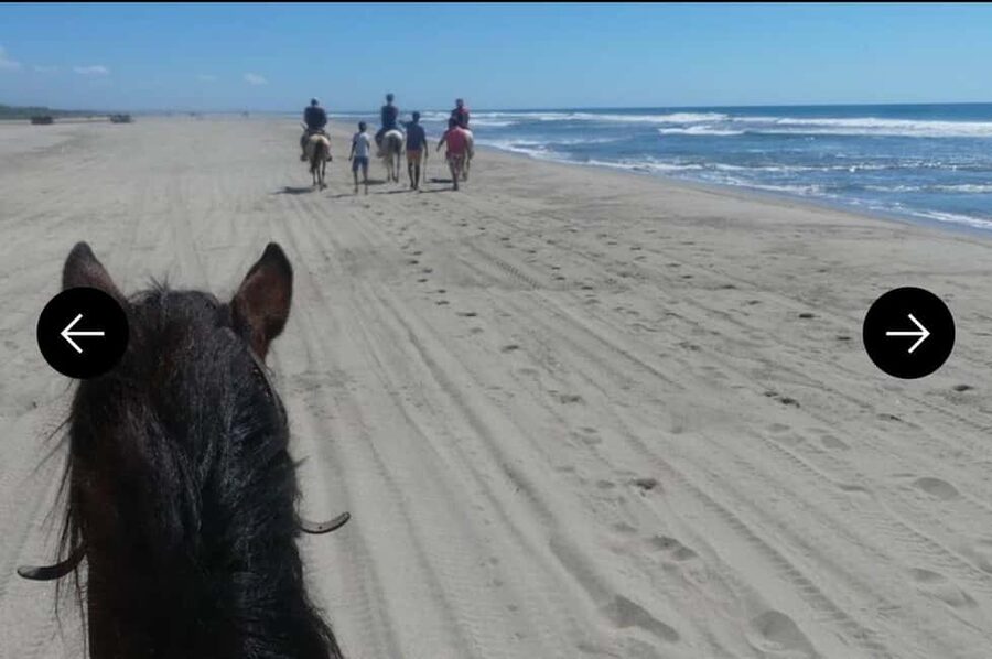 .Beach Horse Riding Turtle Release Crocodile Farm Experience - Key Points You’ll Care About