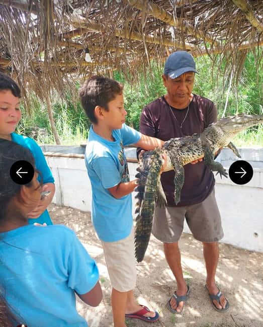 .Beach Horse Riding Turtle Release Crocodile Farm Experience - Heading Out From Acapulco: The Drive Sets the Tone